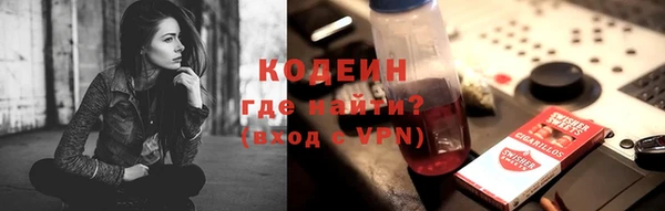 дживик Абаза
